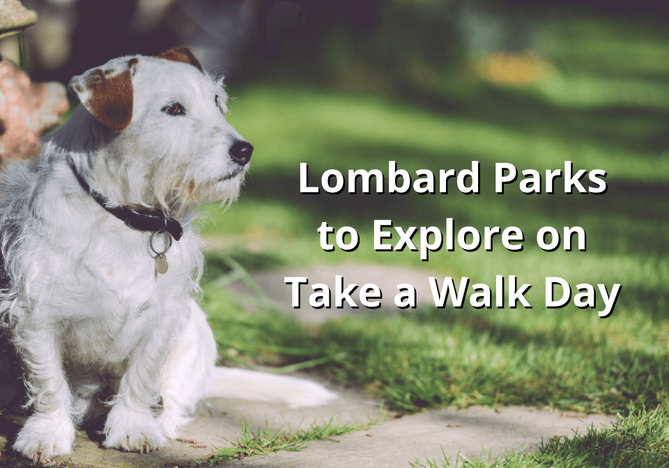 Lombard Parks to Explore on Take a Walk Day