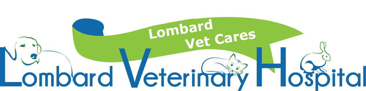 Lombard Vet Cares
