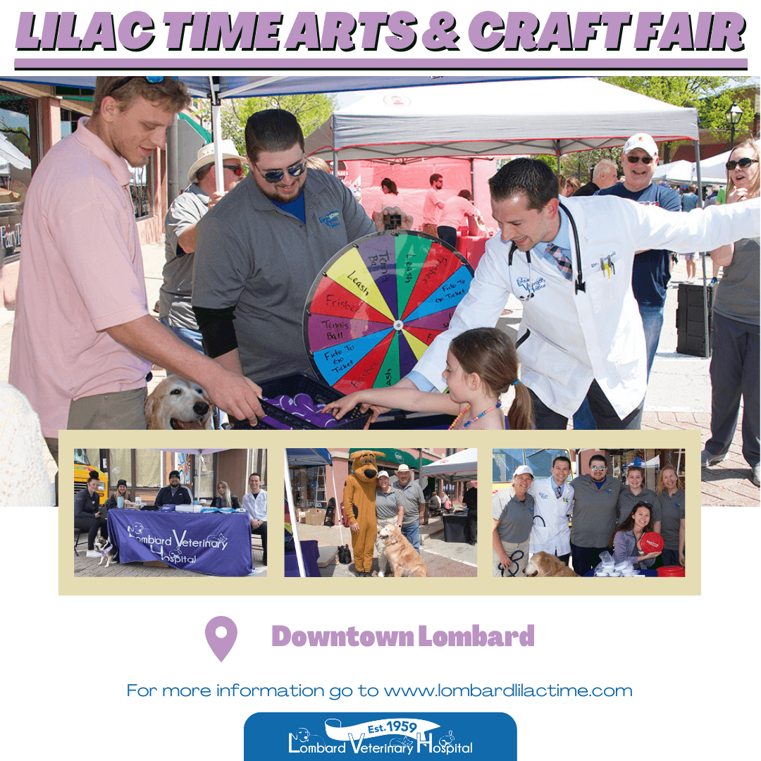 Lilac Time Arts & Craft Fair