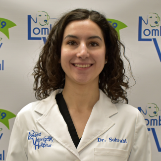 Dr. Lea Sohrabi