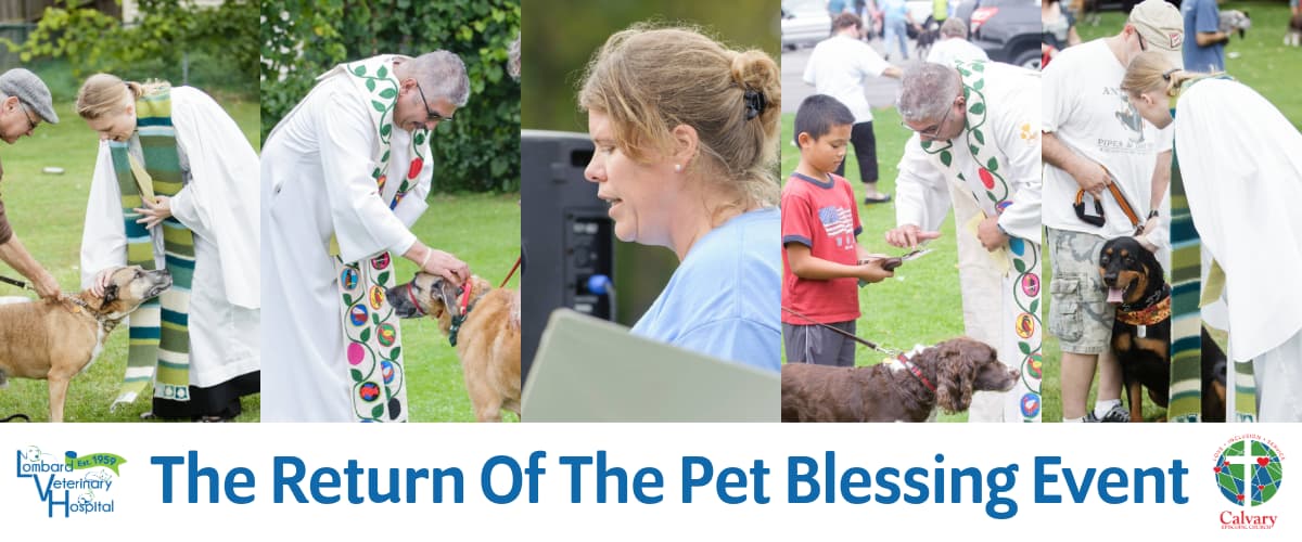 The Pet Blessing Event Returns