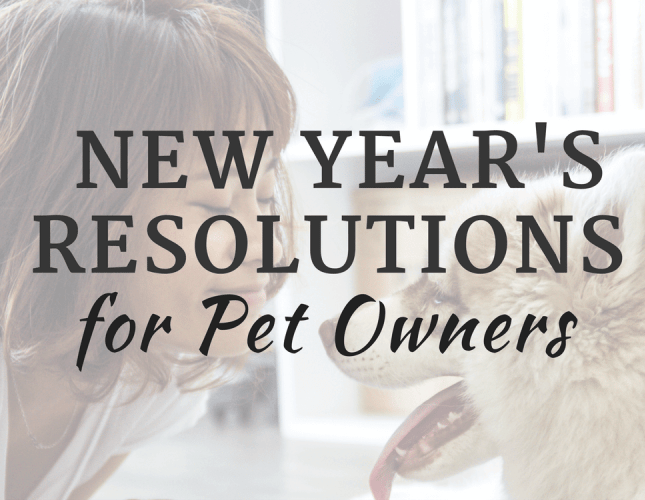 Top New Year's Resolutions for Pet Owners