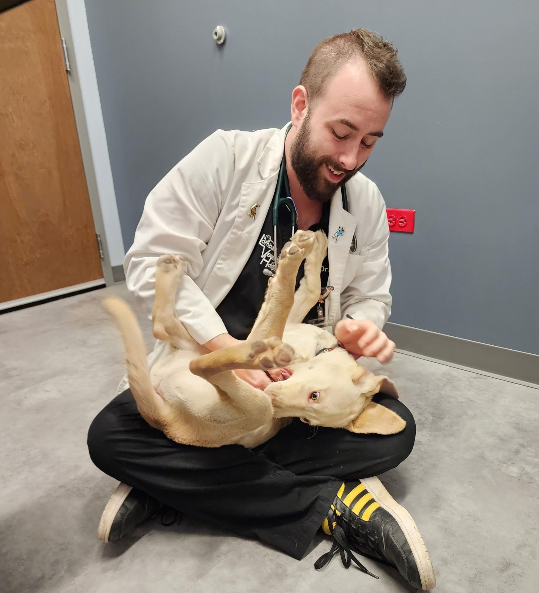 Lombard vet with a Lead for the Blind puppy