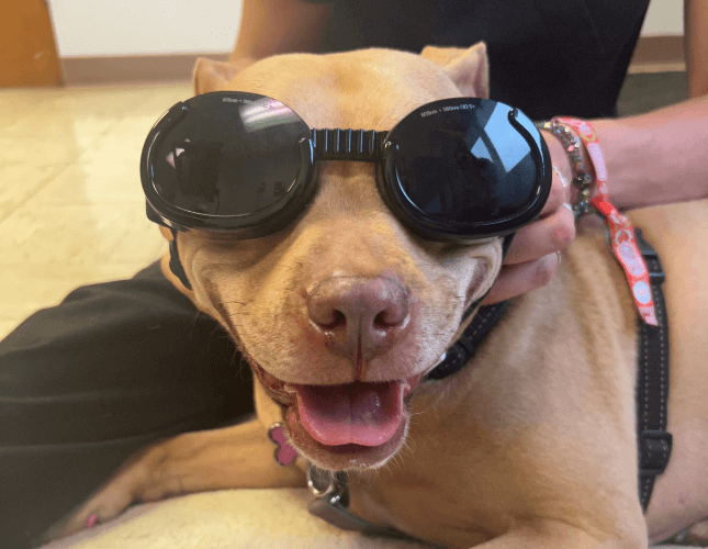 Client wearing laser therapy glasses
