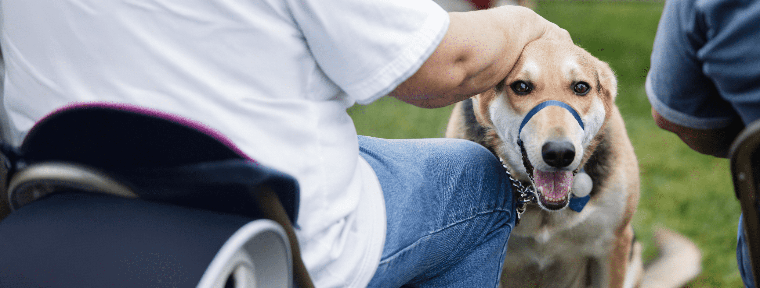 9th Annual Pet Blessing at Lombard Veterinary Hospital 9th Annual Pet Blessing at Lombard Veterinary Hospital