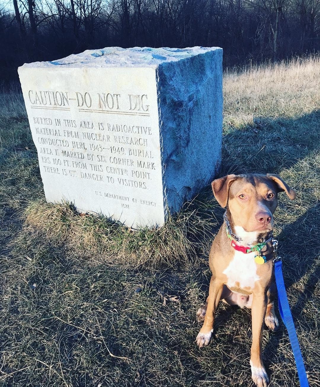  Wrigley stands next to the burial marker commemorating the site of the world’s first nuclear reactor in Red Gate Woods