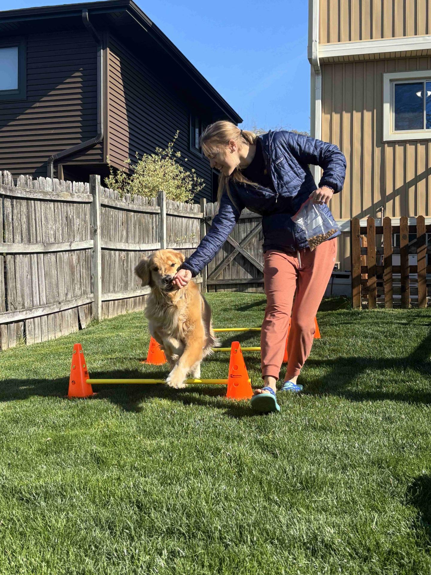 Rehabilitation and Physical Therapy at Lombard Veterinary Hospital