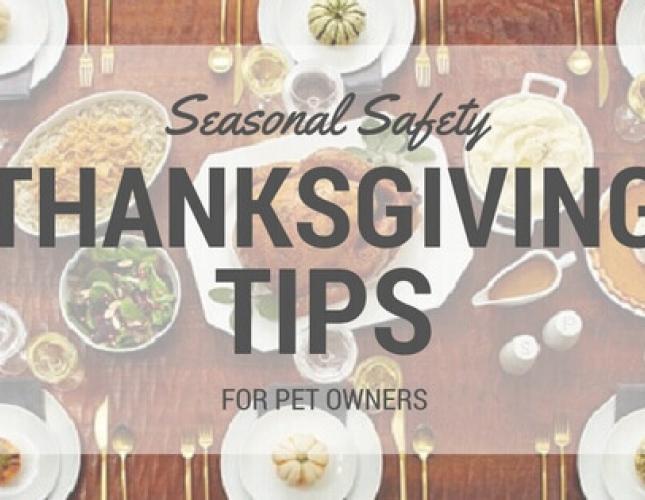 Seasonal Safety: Thanksgiving Tips for Pet Owners